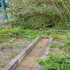 Plants: image 74 Of 208 Thumb
